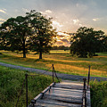 A Sunset Scene at Yorktown Battlefield