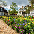 Colonial Spring Garden